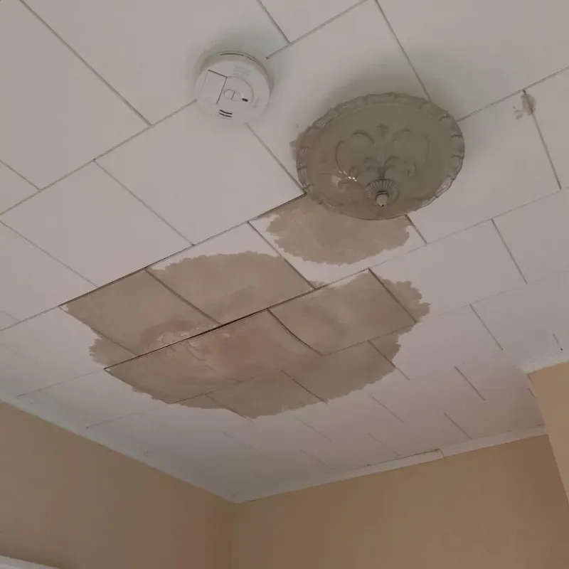Ceiling Water Damage Repair in Johnson, VT