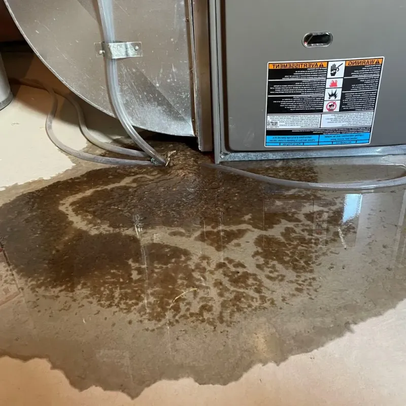 Pipe Burst and Leak Restoration in Johnson, VT