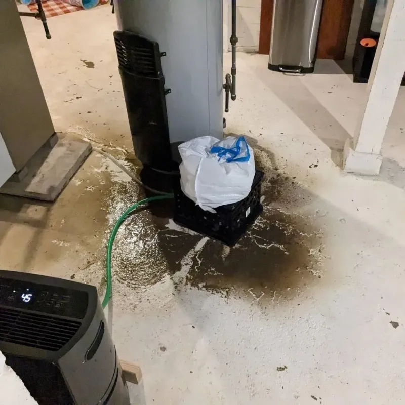 Sewage Backup Cleanup Service in Johnson, VT